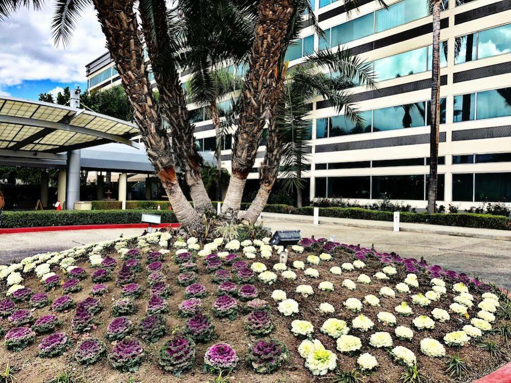 Sheraton Ontario Airport Hotel Exterior foto